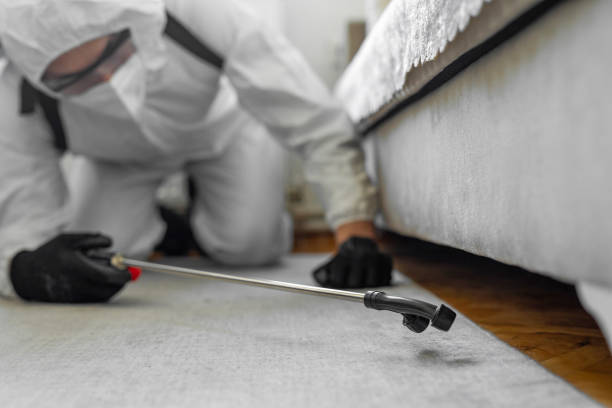 Professional Ant Control technician working in Yale, OK